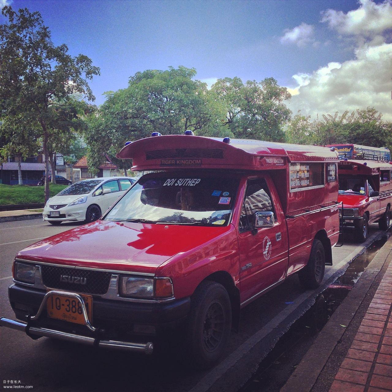 mini bus，其实双条车也长这样～
