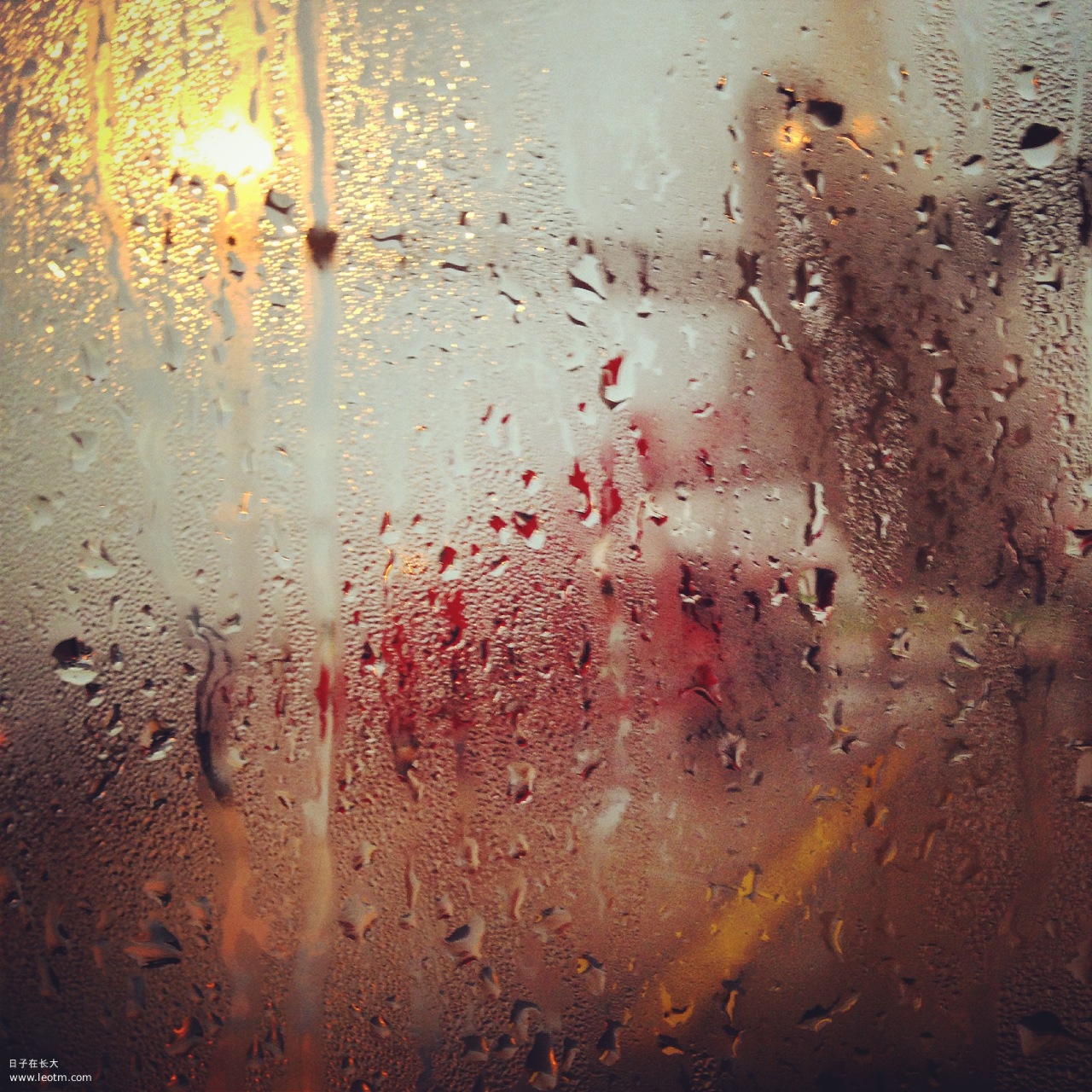 回到曼谷，小雨淅沥