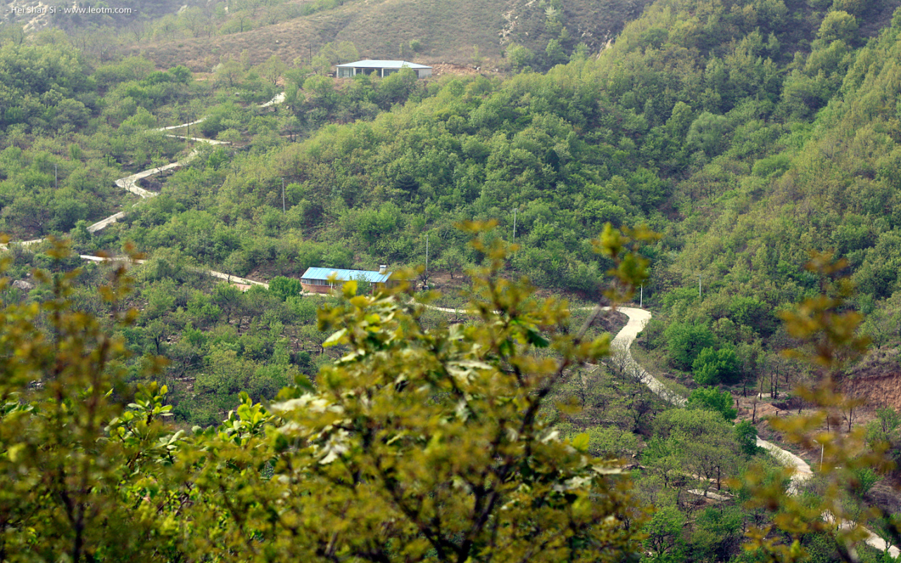 山路弯弯