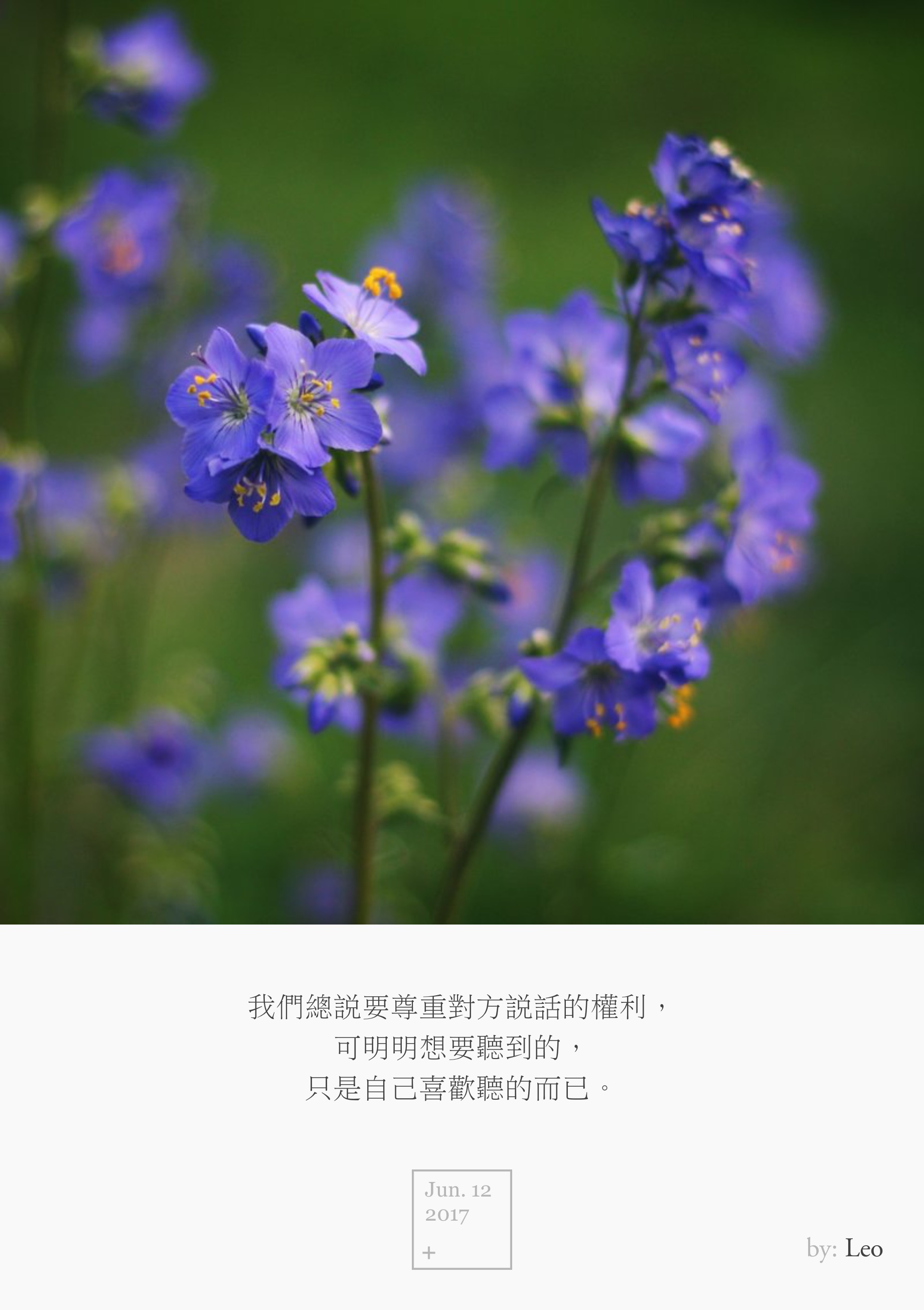 蓝色野花