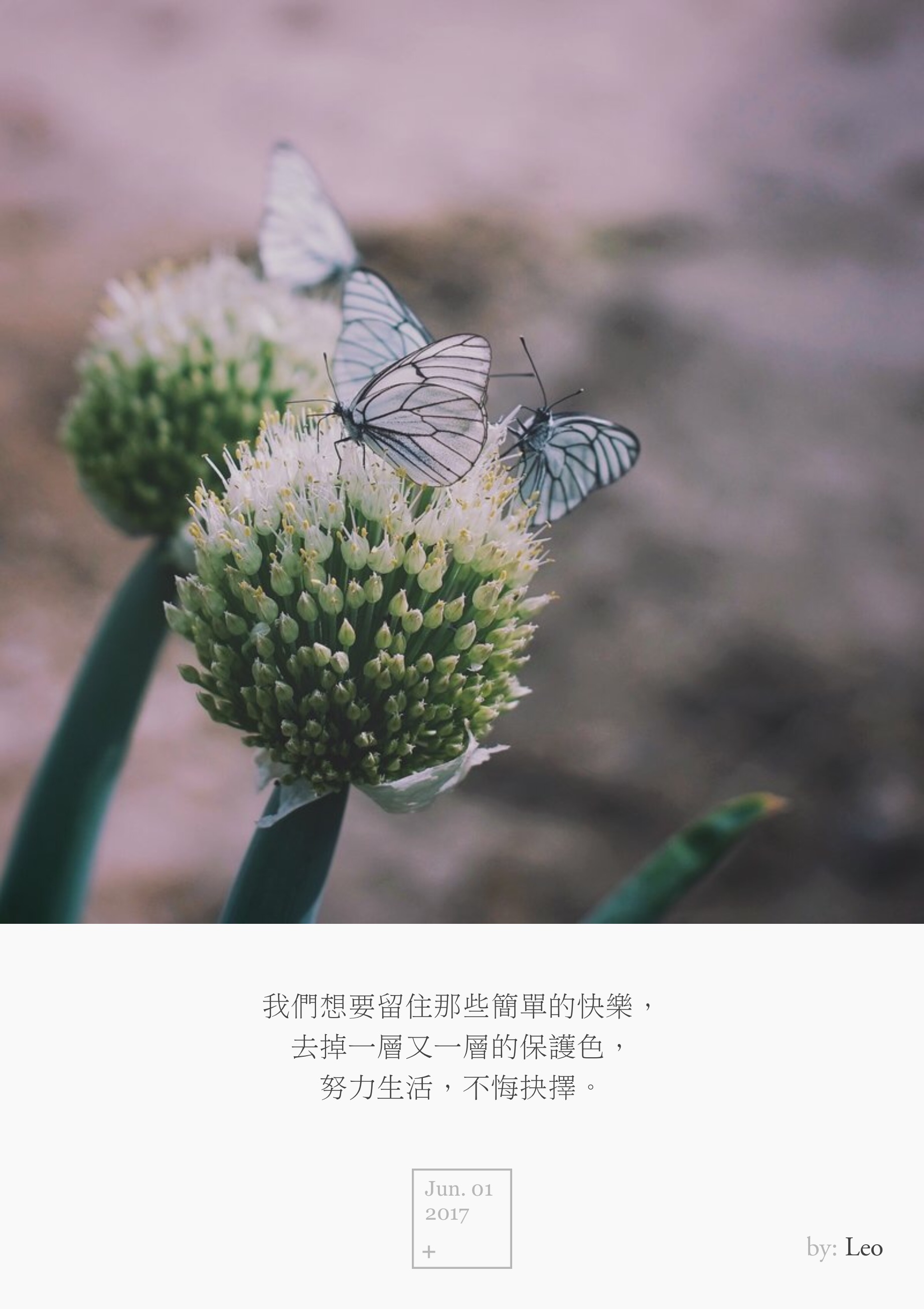 葱花