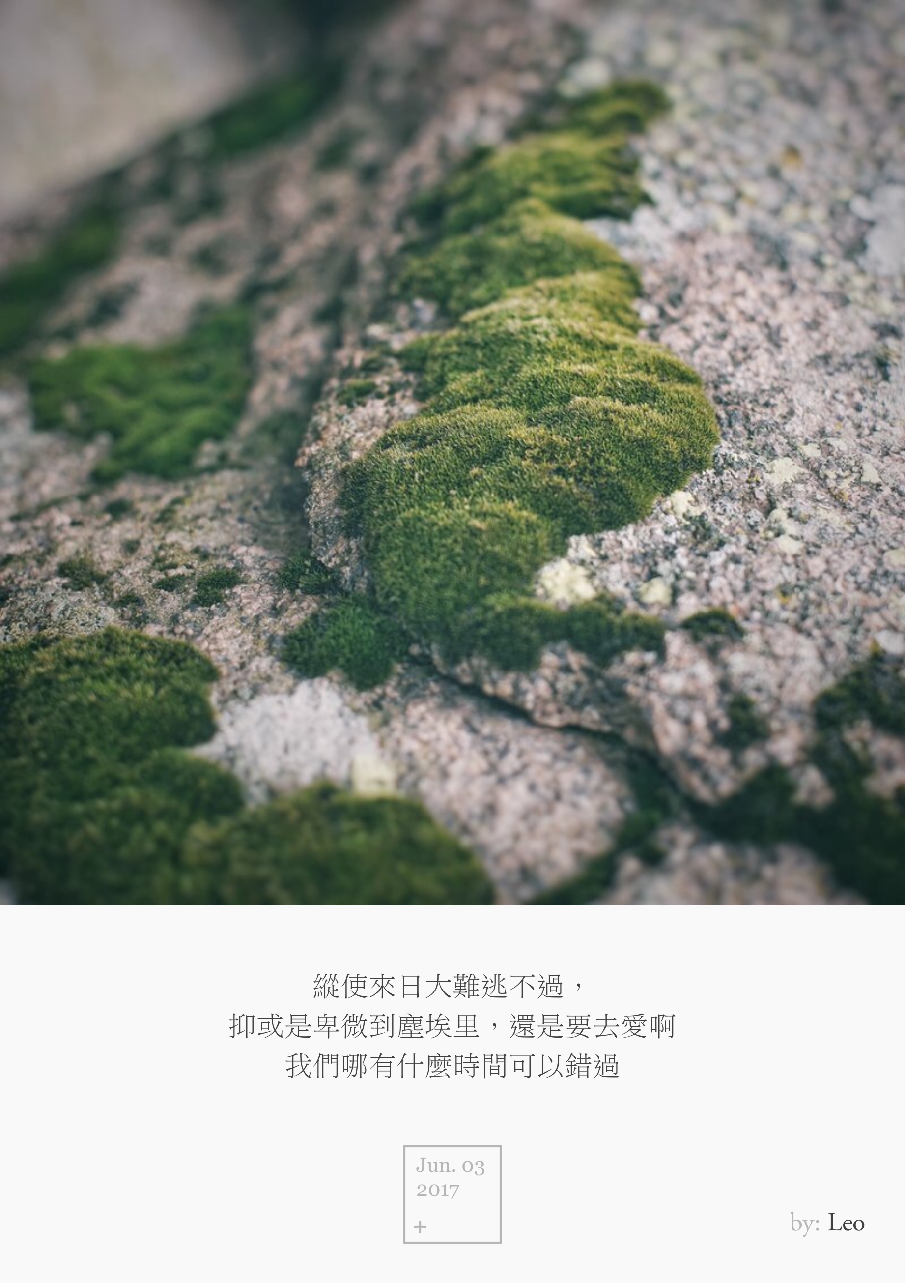 苔藓