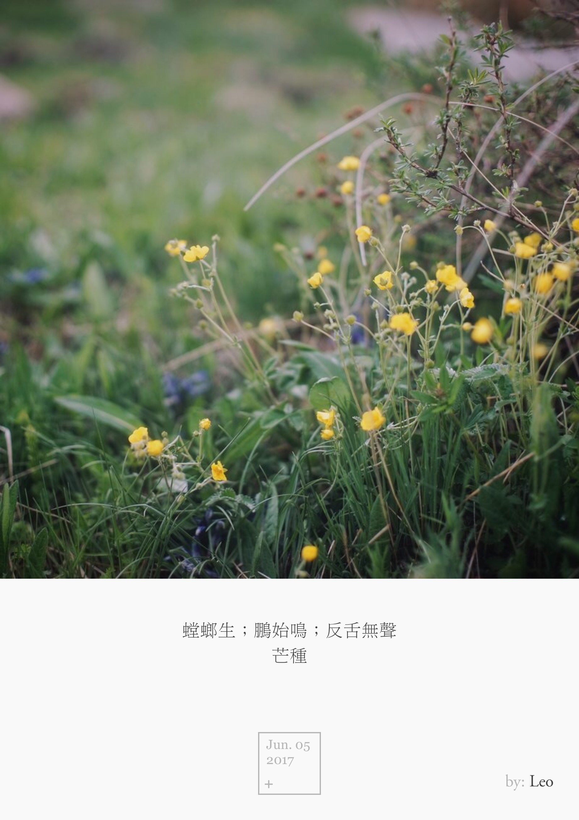 野花