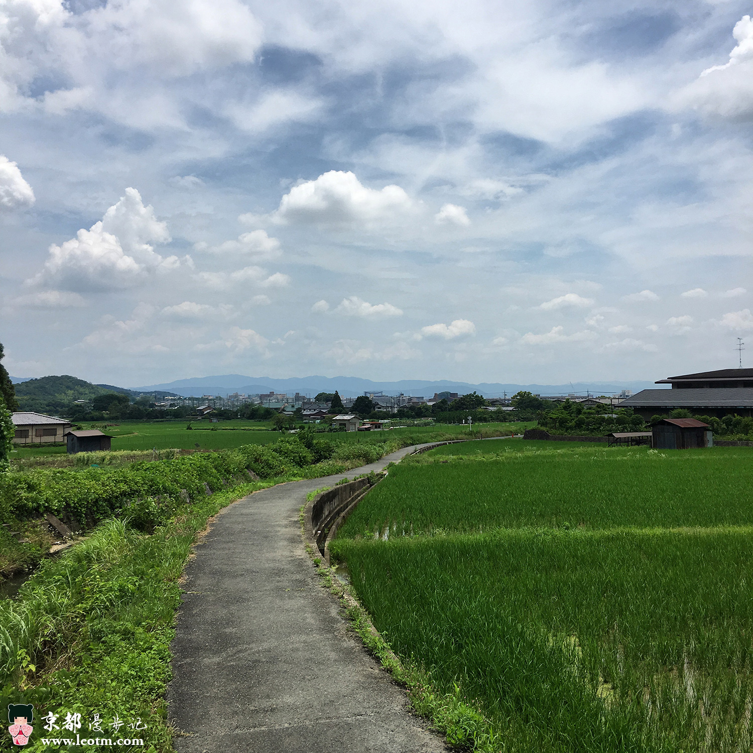 从龙安寺徒步到大觉寺