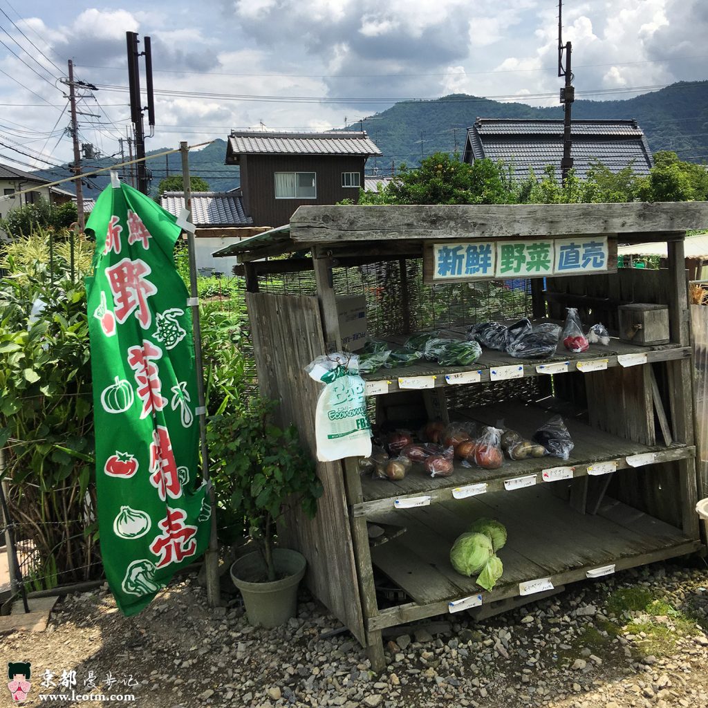 大觉寺徒步到纸王寺