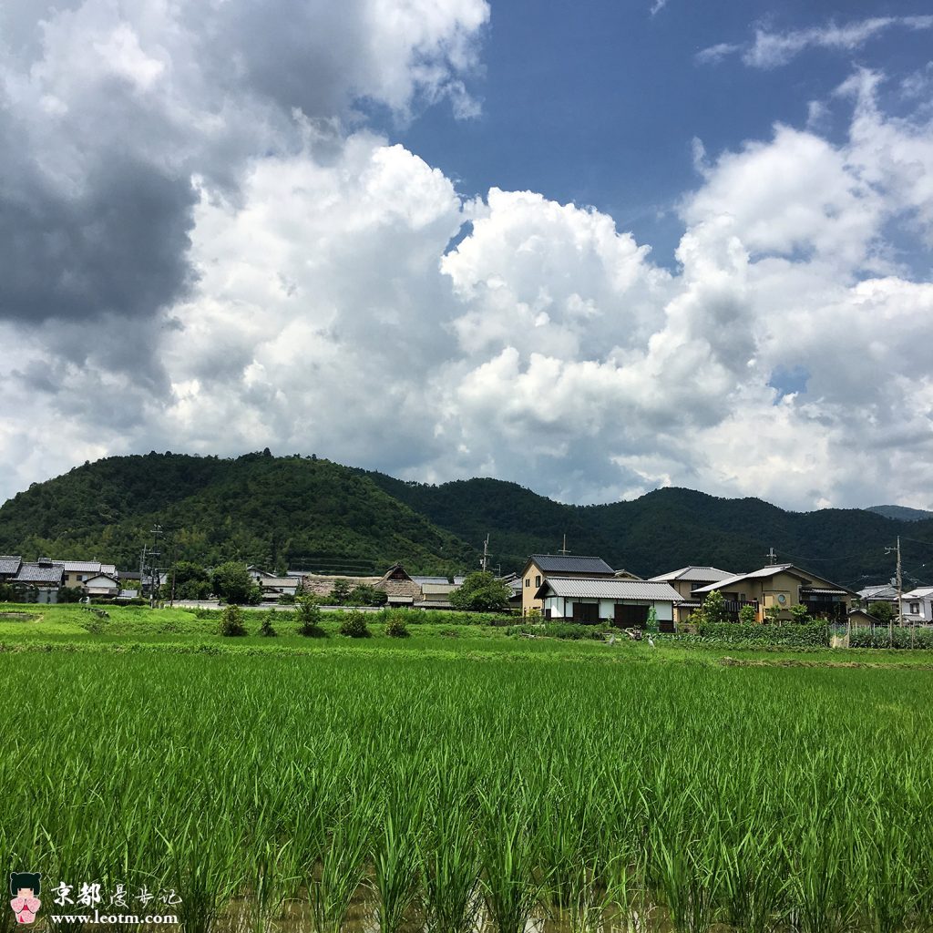大觉寺徒步到纸王寺