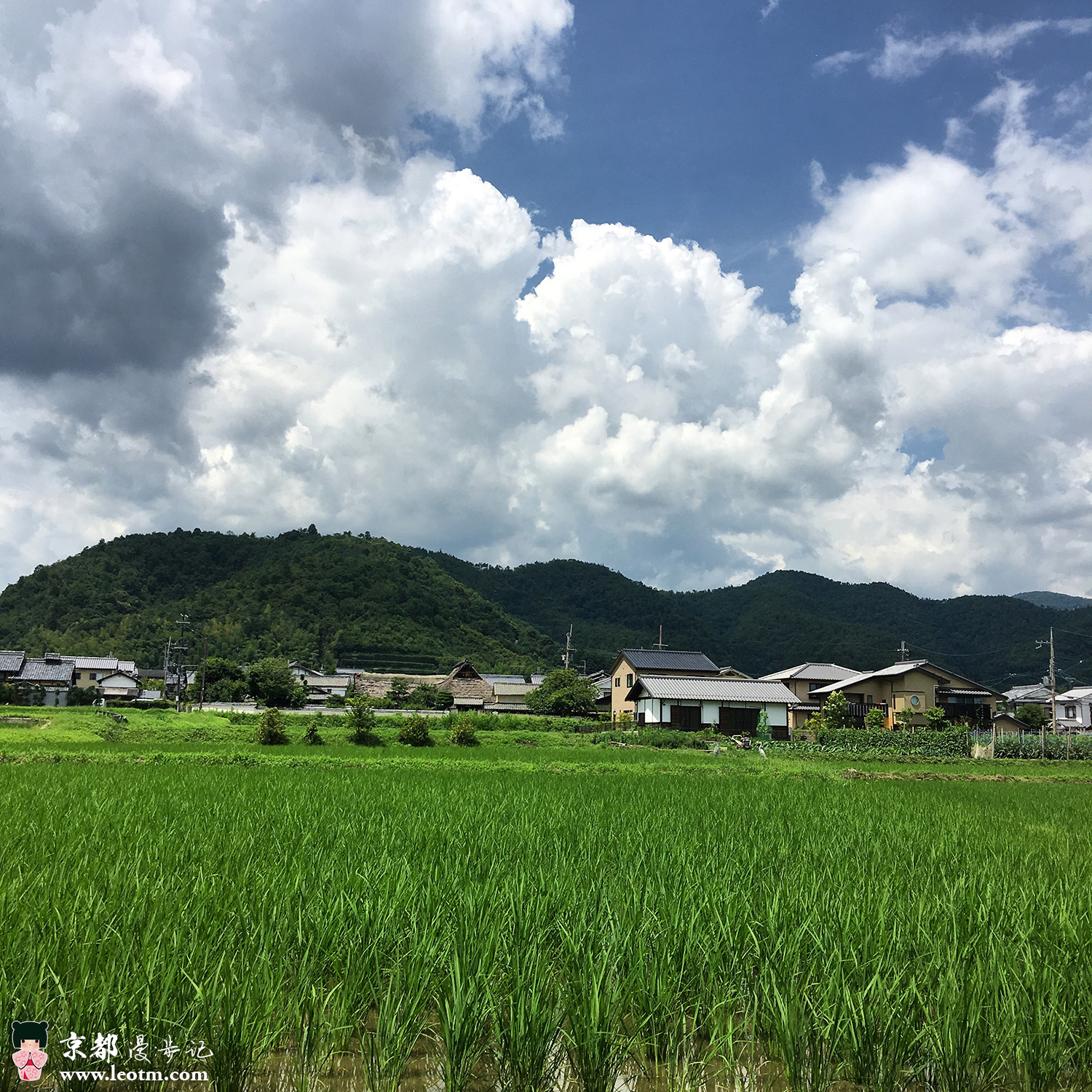 大觉寺徒步到纸王寺