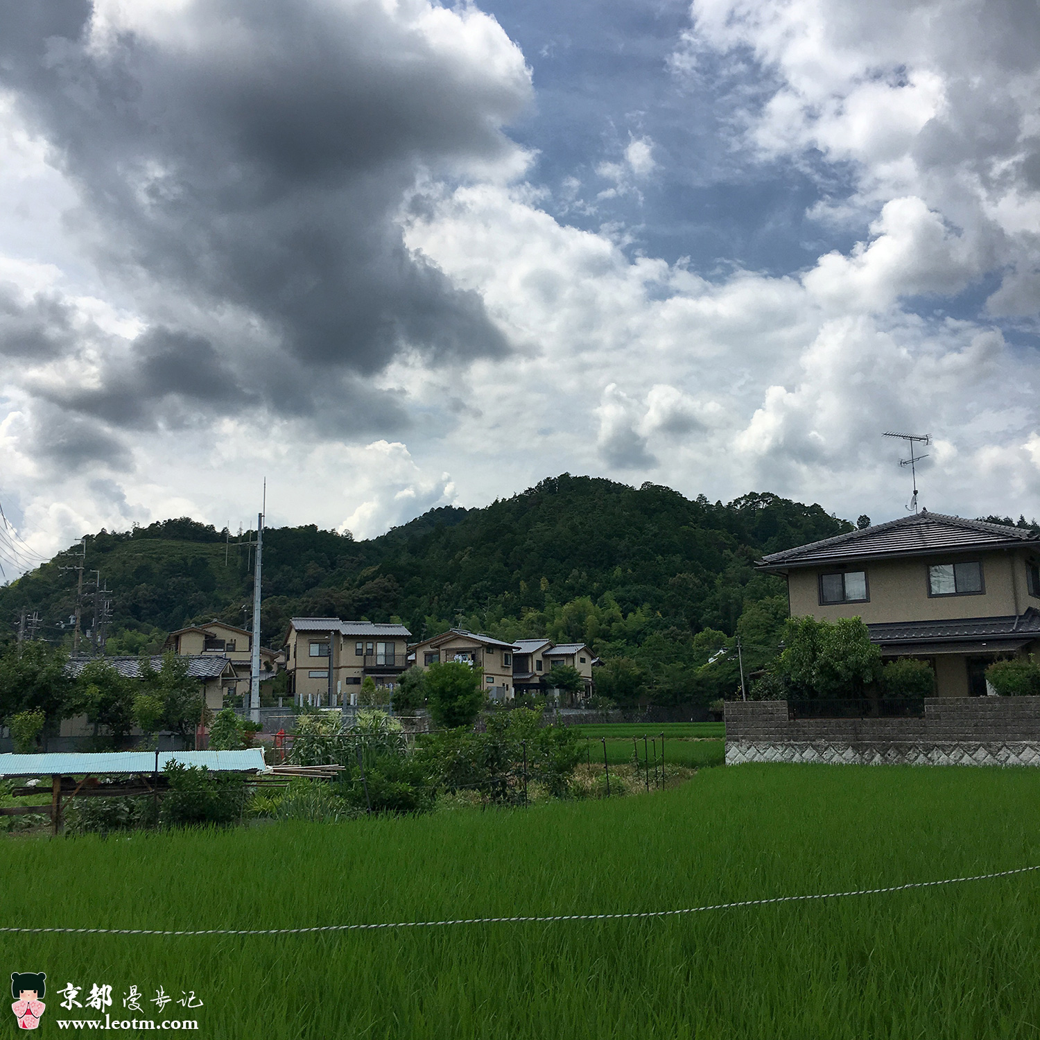 大觉寺徒步到纸王寺