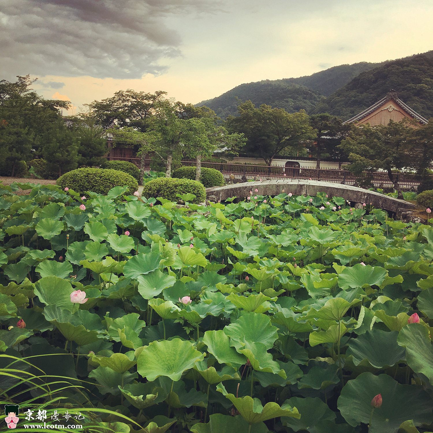 天龙寺