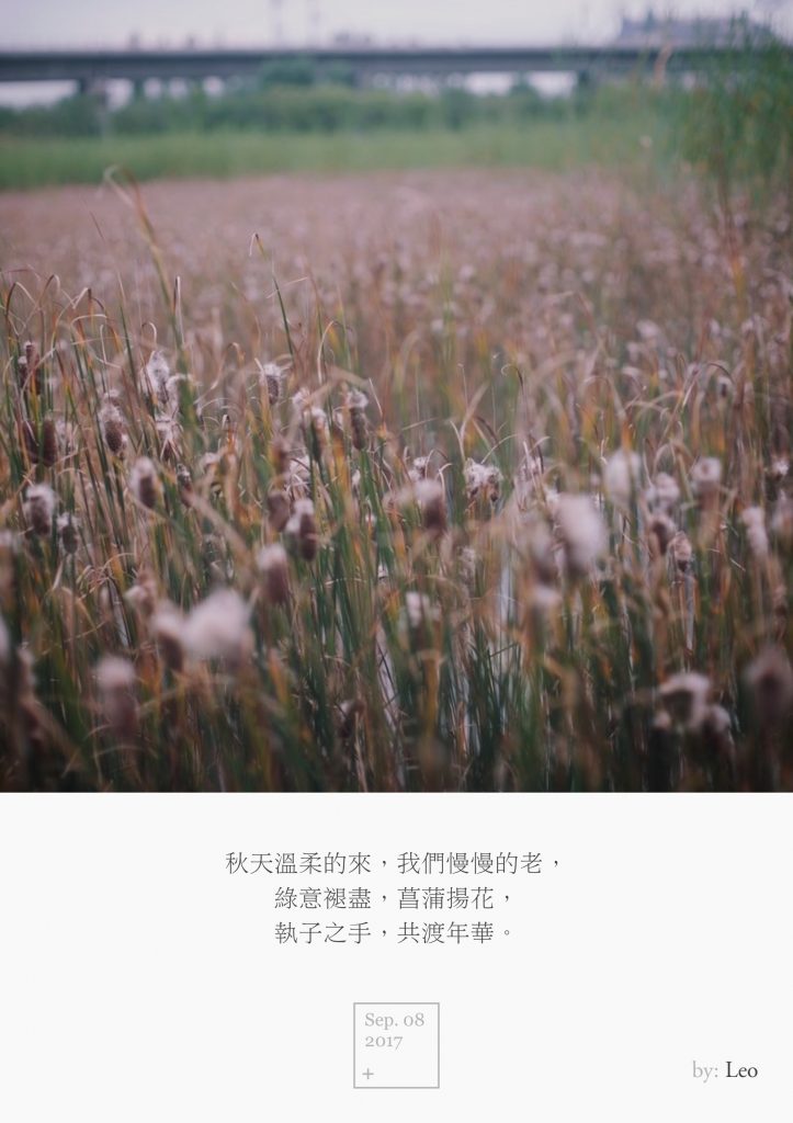 菖蒲