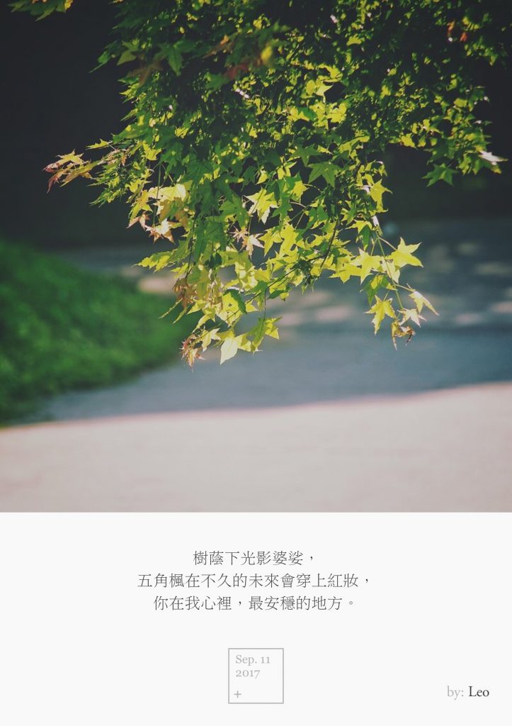 枫叶