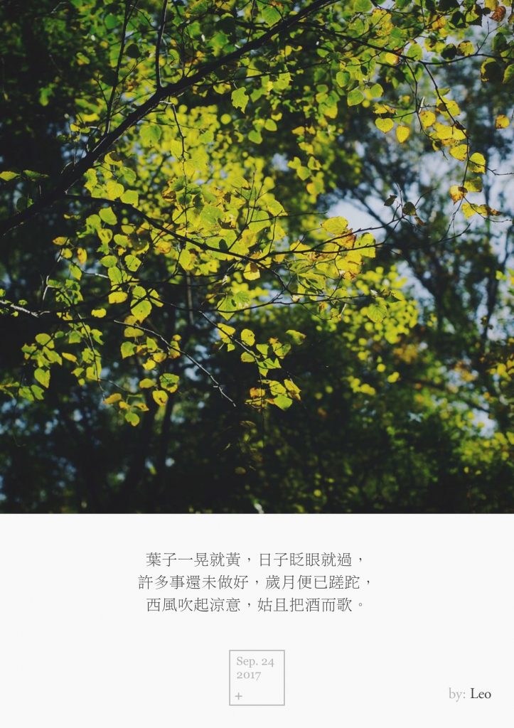 黄叶