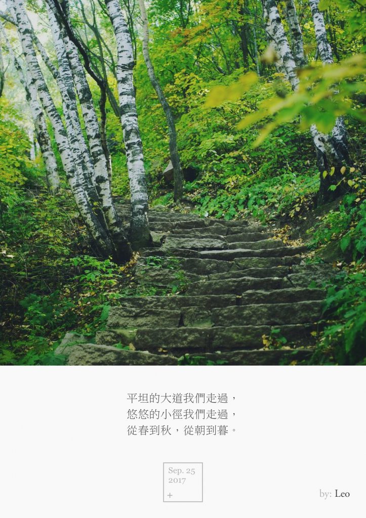 白桦林
