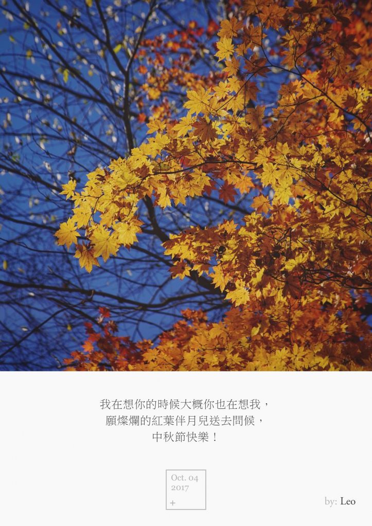 枫叶
