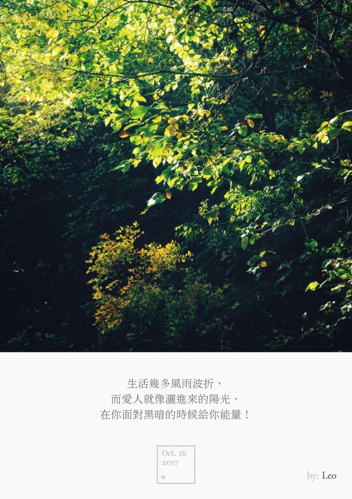 森林