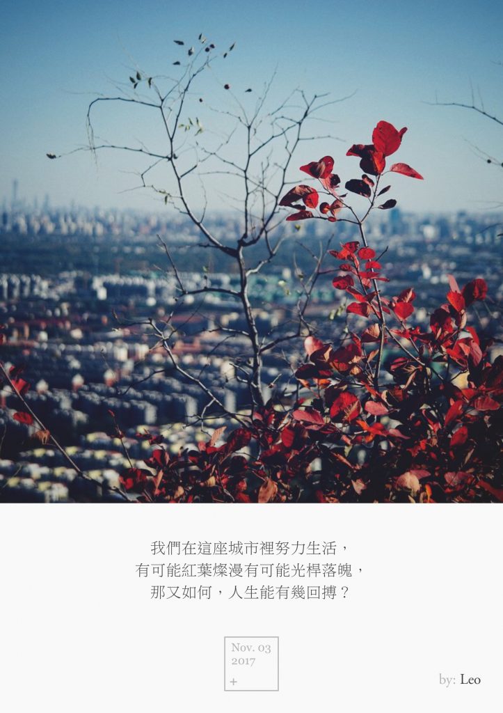 城市红叶