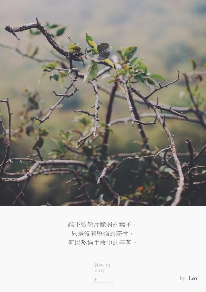 树木