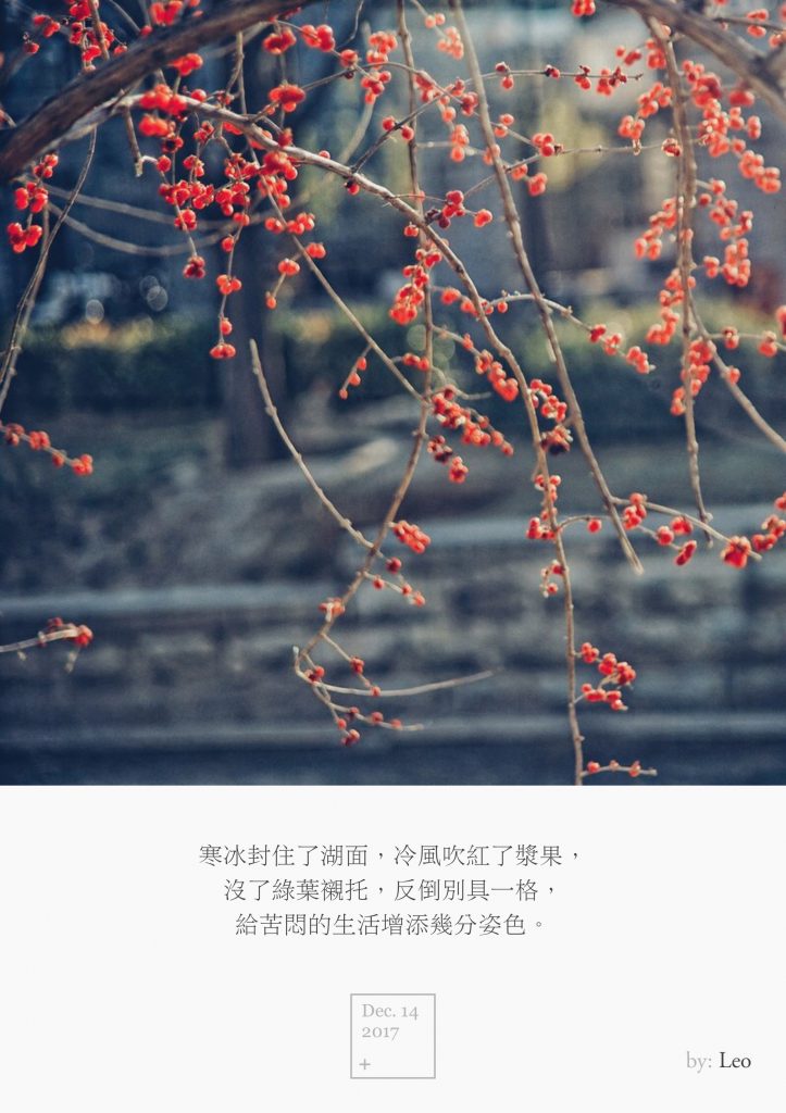 红果