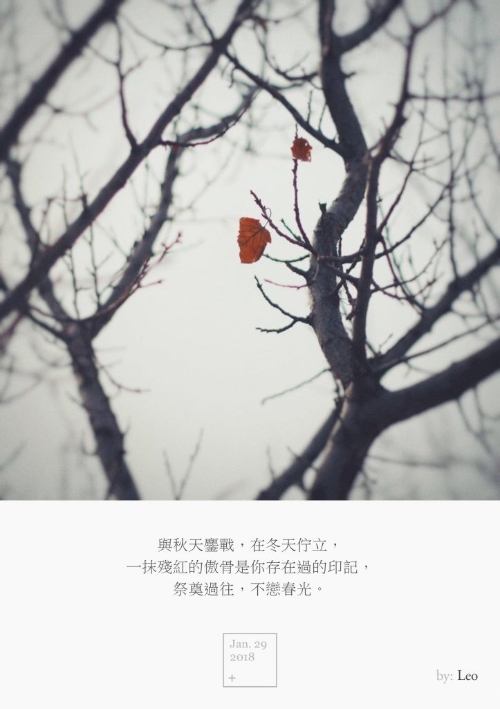 一叶