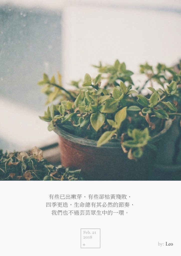 绿植