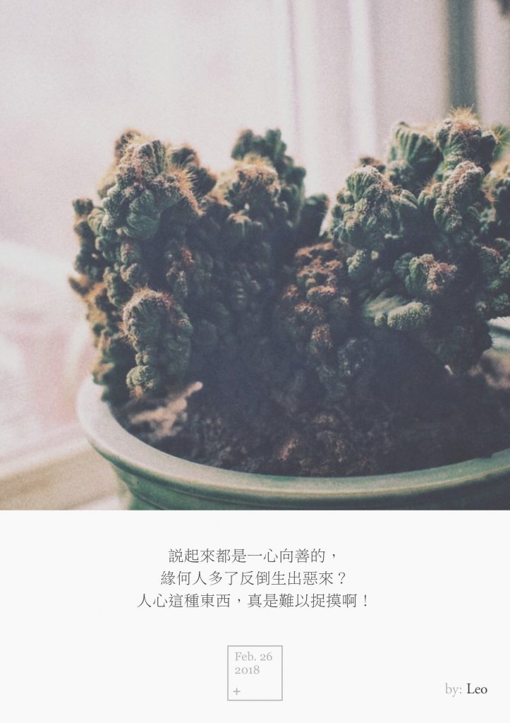 山影拳仙人掌
