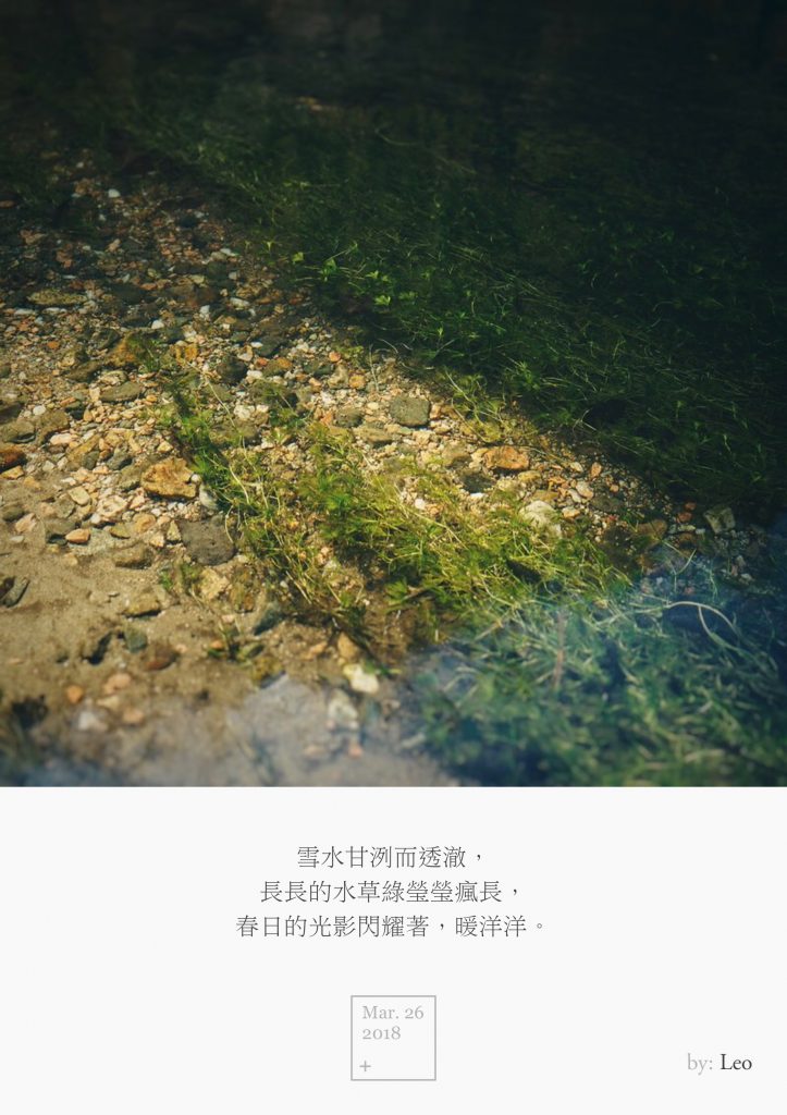 水草